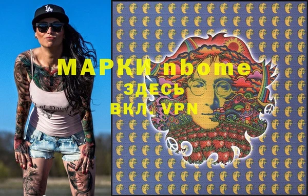 крисы Бородино