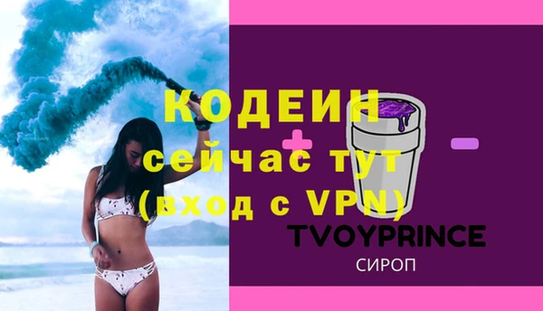 крисы Бородино