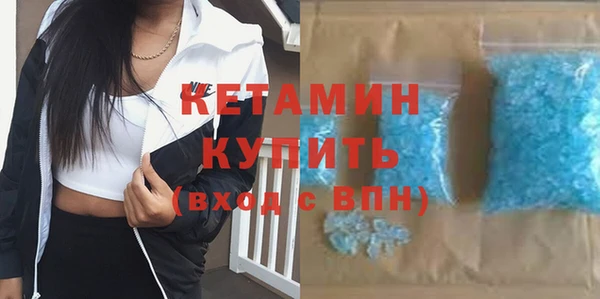 крисы Бородино
