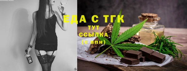 крисы Бородино