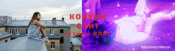 крисы Бородино