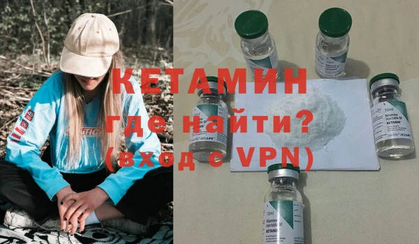 крисы Бородино