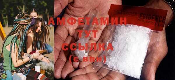 крисы Бородино