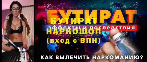 крисы Бородино