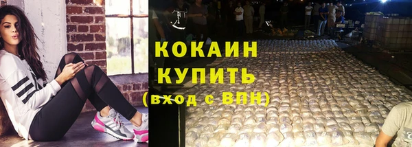 крисы Бородино