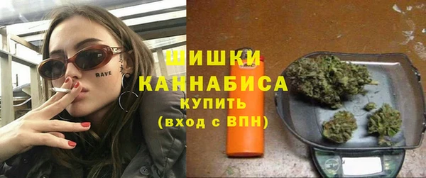 крисы Бородино