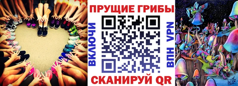 Купить где Городовиковск Галлюциногенные грибы мухоморы